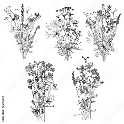 Vector bouquets with drawing wild plants