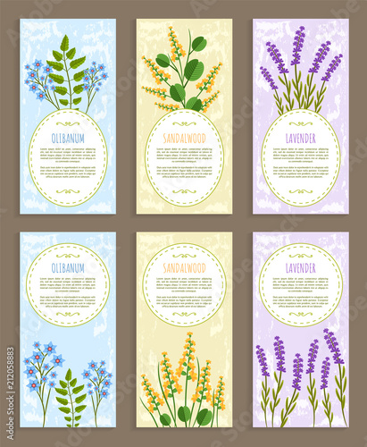 Olibanum Covers Collection Vector Illustration