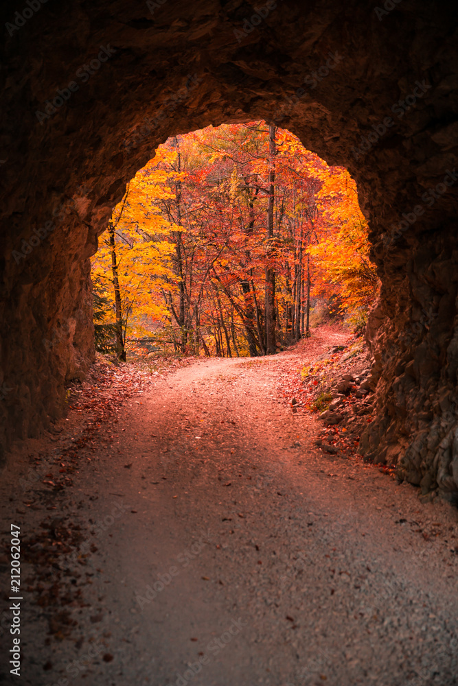 Stone Carved Tunnel and Red Sunset Light opening on Autumn Foliage.