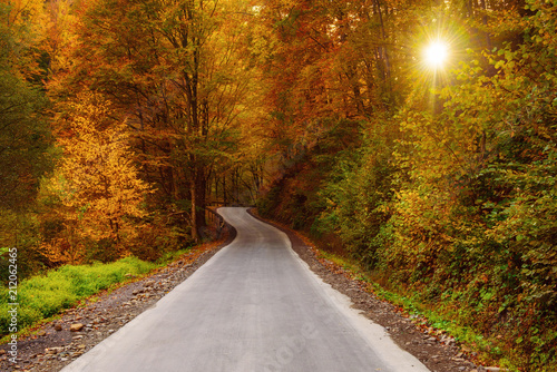 Beautiful sunny autumn landscape with auto road through the forest, sun shining and yellow red trees