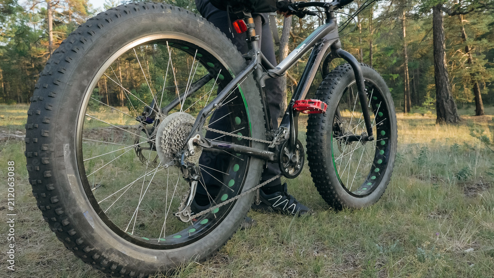 Fat bike also called fatbike or fat-tire bike in summer riding in the forest. The woman rides a bicycle among trees and stumps. He overcomes some obstacles on a bumpy road.