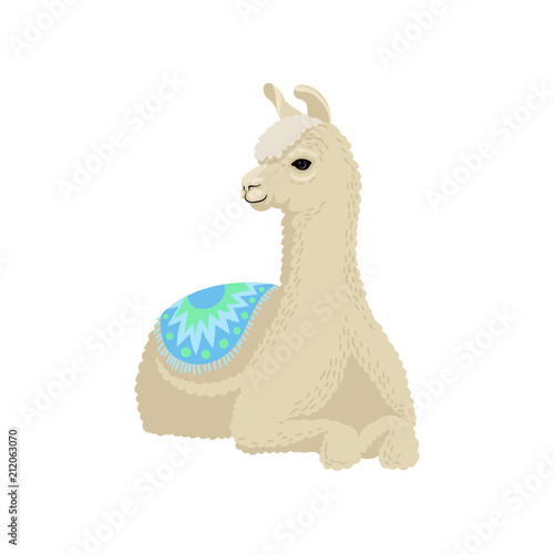 White graceful llama alpaca animal lying vector Illustration on a white background