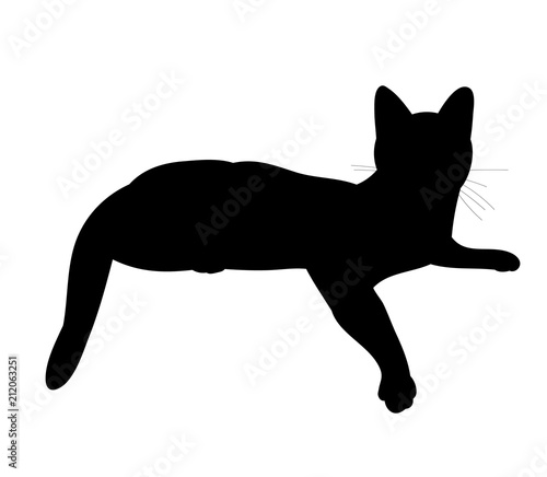 black silhouette cat