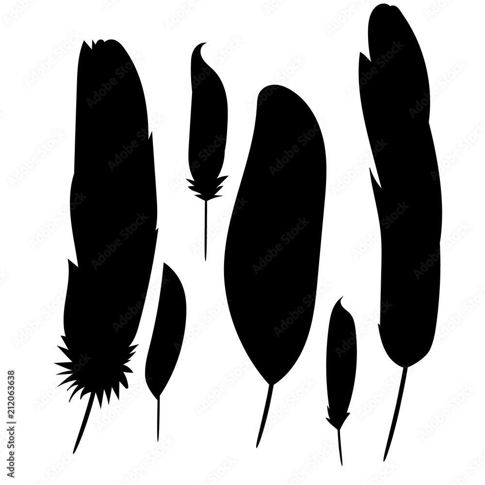 silhouette of a feather, collection silhouette of a feather, collection