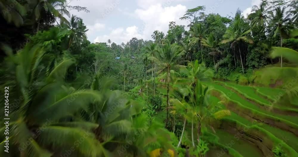 Hillside with rice farming. World's most beautiful mountains landscapes shape in nature. Typical Asian green cascade rice field terraces paddies. Ubud. Bali. Indonesia. Same as Guillin. China. Hillside with rice farming. World's most beautiful mountains landscapes shape in nature. Typical Asian green cascade rice field terraces paddies. Ubud. Bali. Indonesia. Same as Guillin. China.