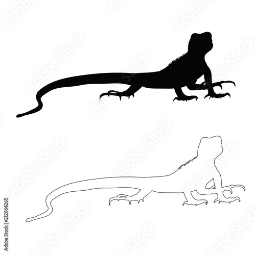 Fototapeta Naklejka Na Ścianę i Meble -  silhouette of a lizard on a white background