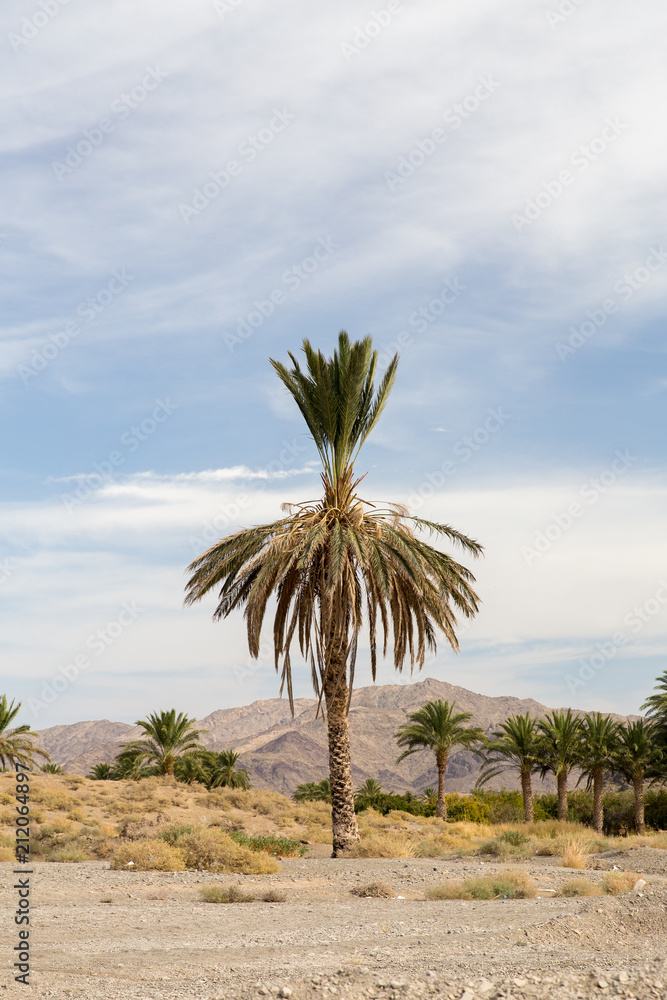 Obraz premium Ancient Karvandar Valley, Sistan and Baluchistan, Iran