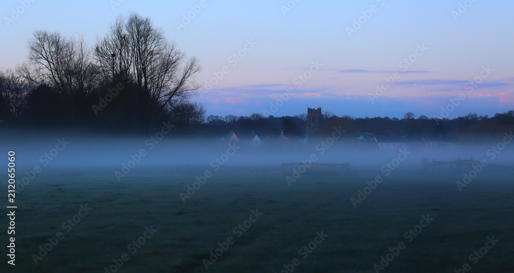 Fototapeta premium Misty Meadow