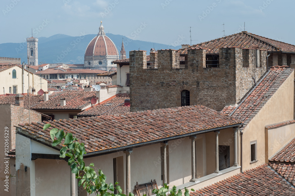 beautiful view of florence in a sunny day