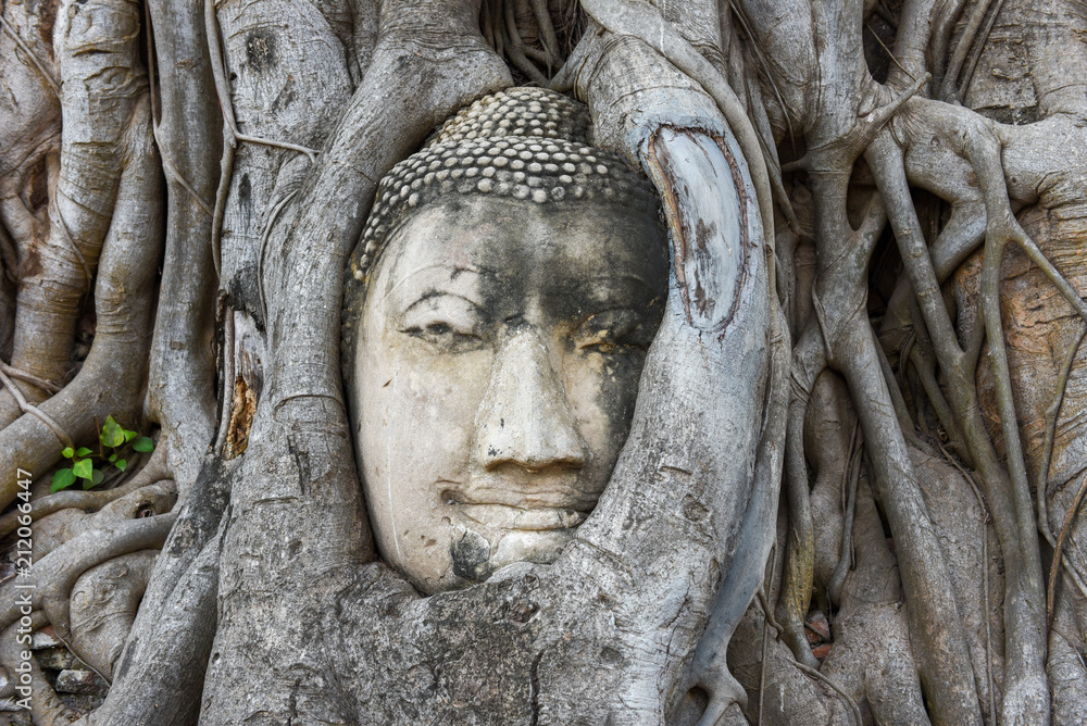 Head of Buddha statue at Wat Mahathat temple in Ayutthaya
