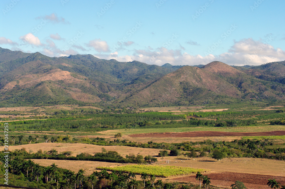 Vallée de los ingenios vue de la Torre Manaca - 2