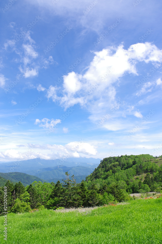 初夏の美ヶ原高原