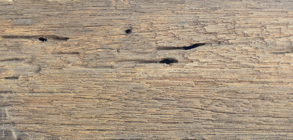 Naklejka premium Old wood texture, the surface of the material change over time a