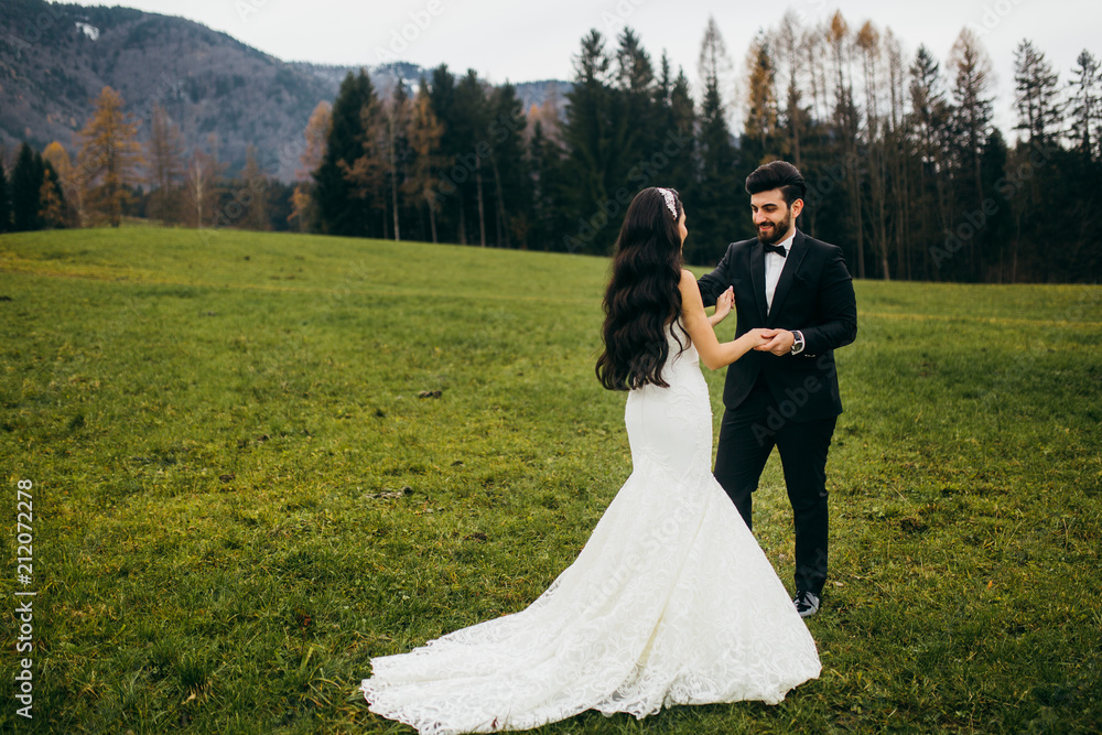 Elegant wedding couple near the mountains at autumn Elegant wedding couple near the mountains at autumn