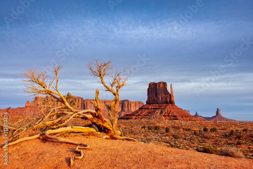 Monument valley landscape view with dry tree and dramatic sky, Arizona