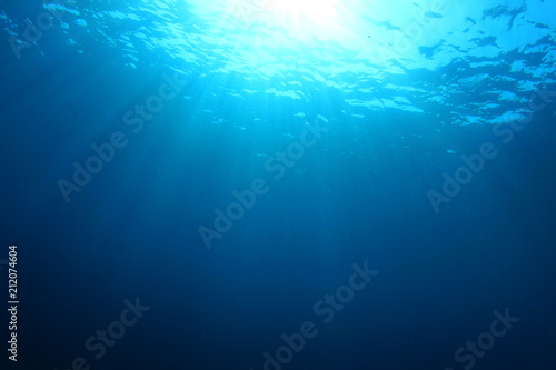Underwater ocean background photo 