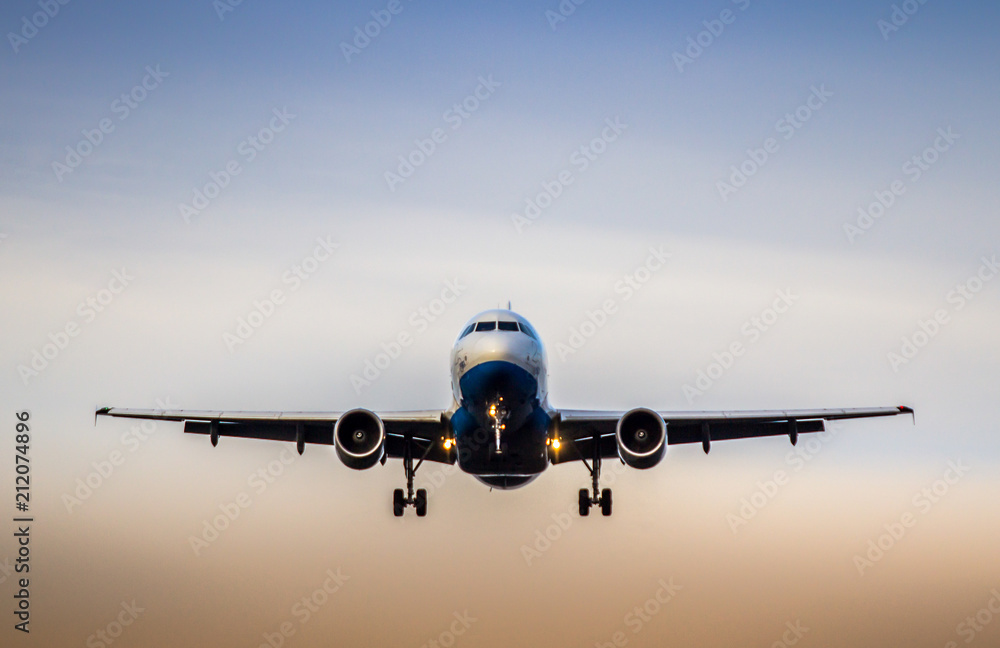 Obraz premium Airplane ist landing