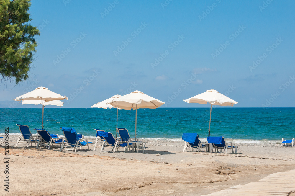 chairs and umbrellas on beach with tree