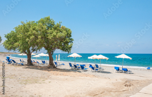 chairs and umbrellas on beach with tree © Redfox1980