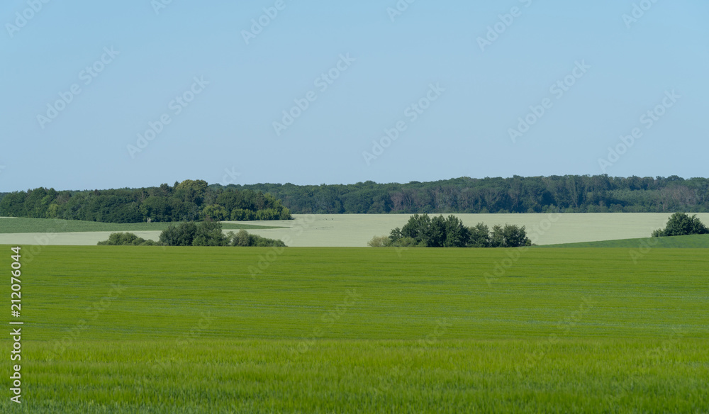 Agricultural landscape in Podolia region of Ukraine Agricultural landscape in Podolia region of Ukraine