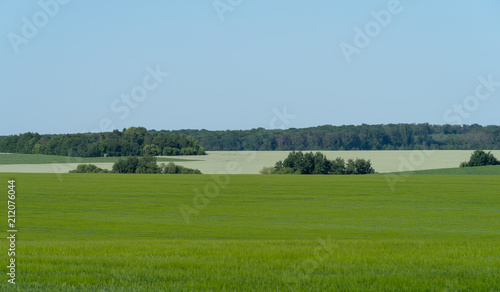 Agricultural landscape in Podolia region of Ukraine