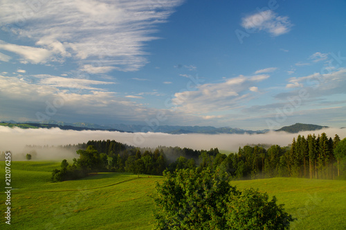 Nebel über der Landschaft im Allgäu