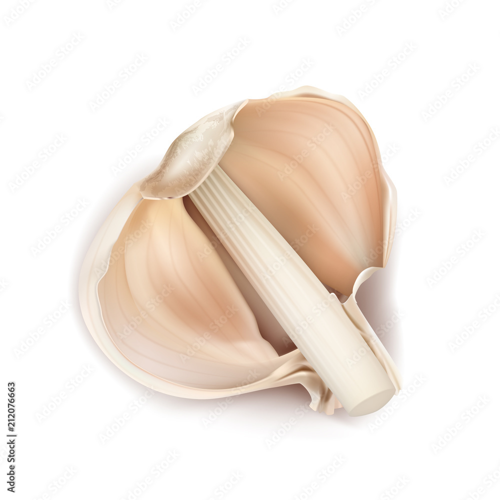Vector 3d realistic illustration of garlic, half of bulb in peelings,  isolated on background. Natural organic vegetable, agricultural root crop,  spicy condiment, ingredient for eating and cooking Stock Vector | Adobe  Stock