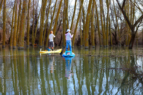 Man and a woman on the SUP (standup paddle boards) row among flooded trees during the spring high water on the Danube river. Adventure in a wild forest among flooded trees.
