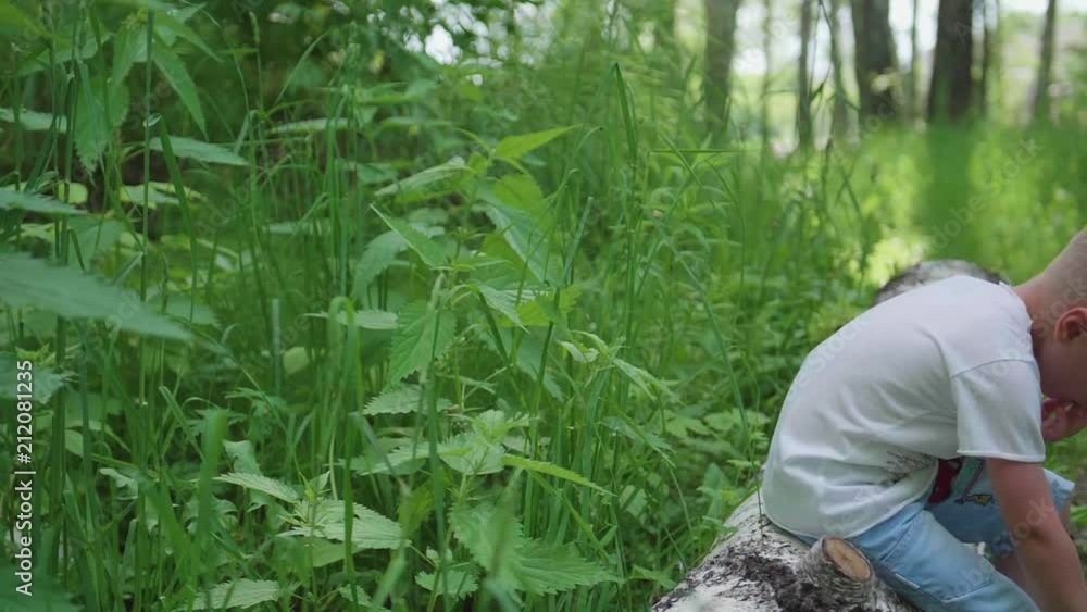 Summer day. The child is sitting on a broken tree. Walk in the fresh air Summer day. The child is sitting on a broken tree. Walk in the fresh air