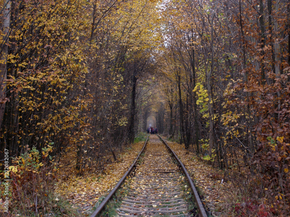 The tunnel of love. Klevan. Autumn landscape with trees and a railway. 