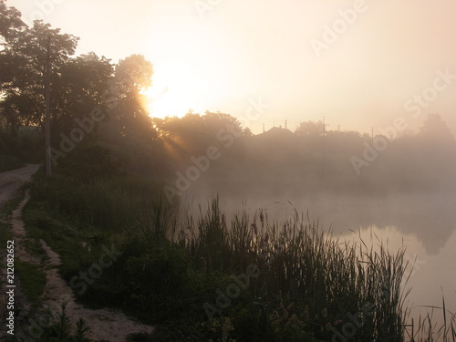 Summer misty morning in the village