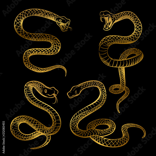 Golden snake set. Hand drawn snakes