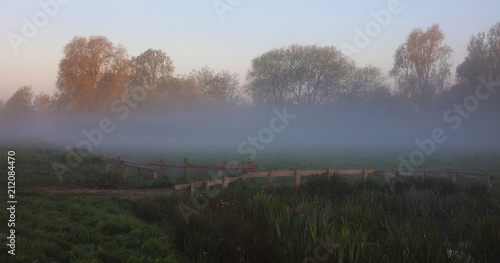 MIsty Meadow