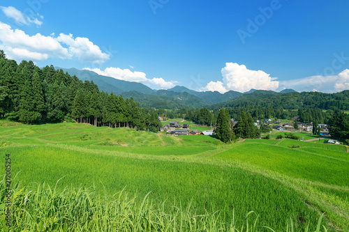 新潟県三条市北五百川の棚田は粟ヶ岳の裾野に位置し、日本の棚田100選に選ばれている。