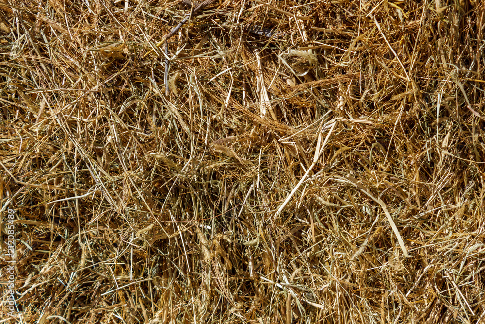 after harvest yellow dry texture of straw grass after harvest yellow dry texture of straw grass