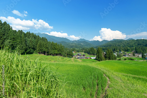 新潟県三条市北五百川の棚田