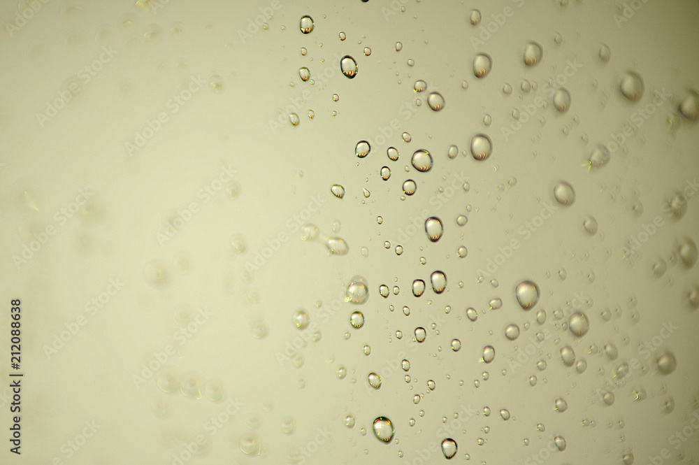Water Drop Water Drop
