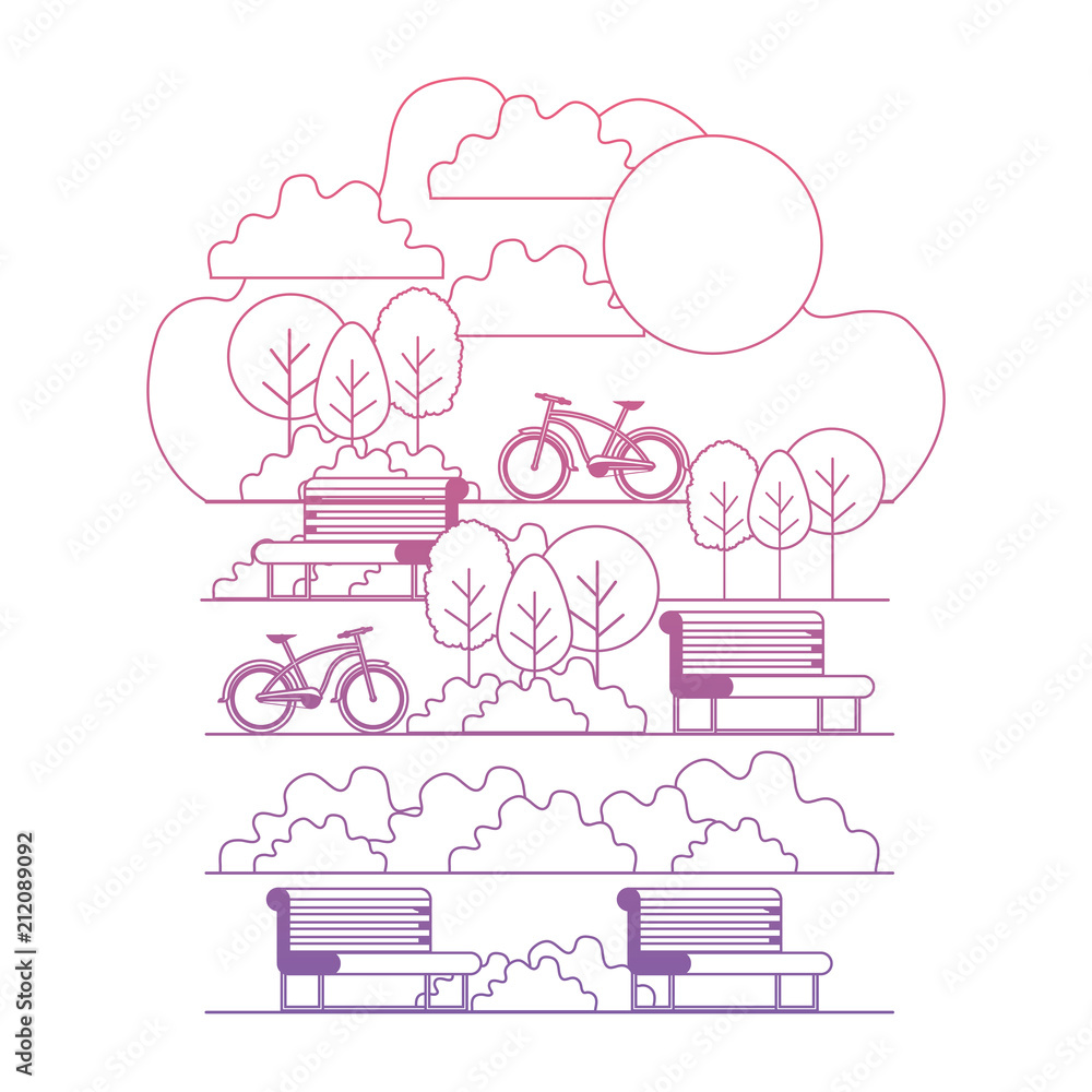 park with chair and bicycle scene vector illustration design park with chair and bicycle scene vector illustration design