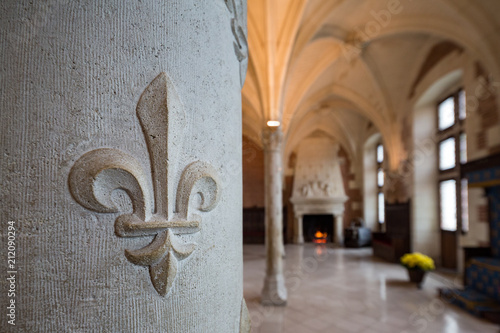 Fleur de Lys sympol in a stone column inside the Chateau d'Amboise main dining hall photo