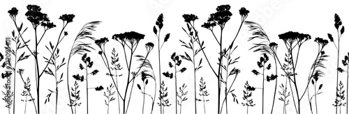 Seamless border with herbal silhouettes