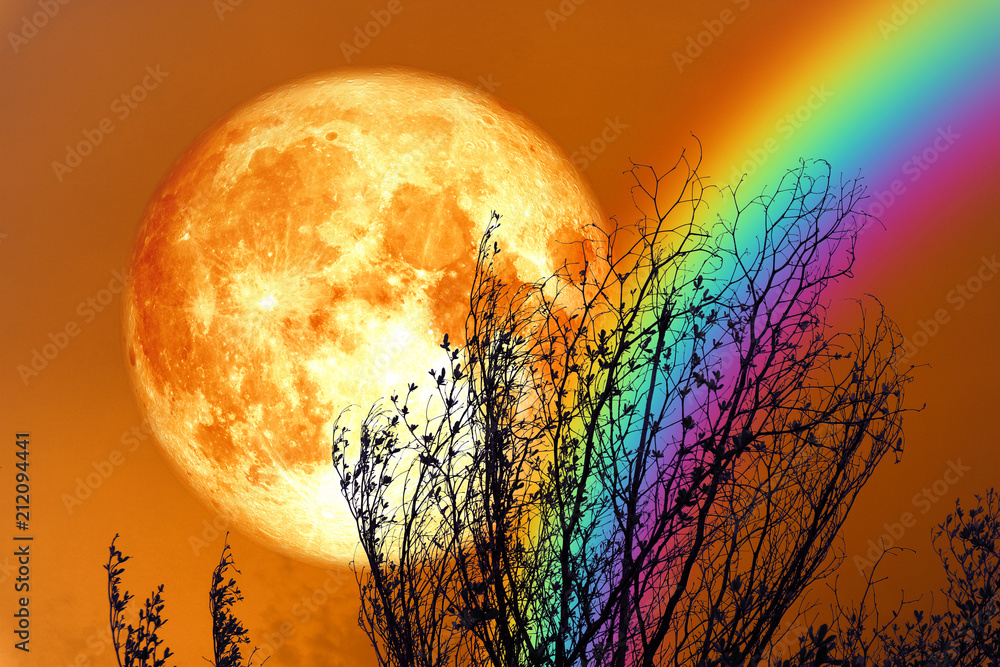 Naklejka premium full blood moon back silhouette dry tree and colorful sky