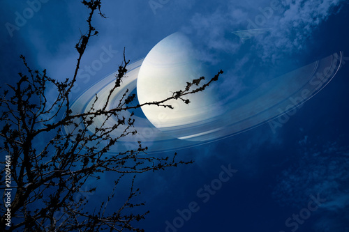 Fototapeta Naklejka Na Ścianę i Meble -  Saturn near earth on night sky back silhouette dry branch tree