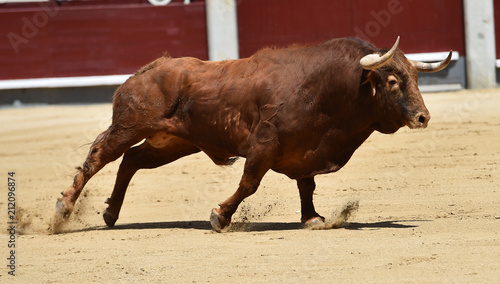 toro rojo en españa