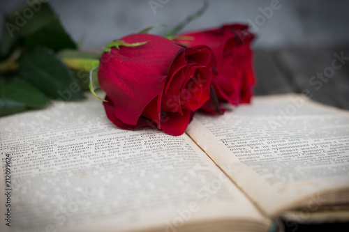 Красные розы со старой книгой