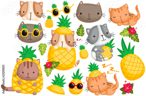 Pineapple Cat Vector Set