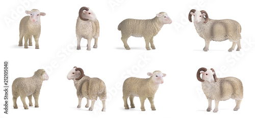 lamb and ram