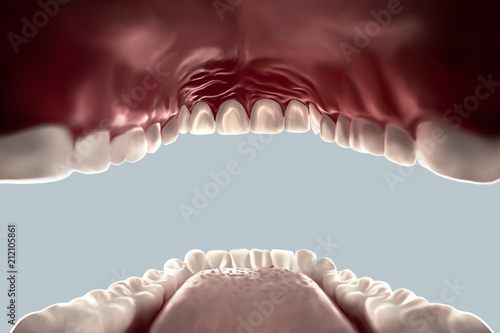 human mouth open view from the inside looking out, teeth, tongue isolated on white