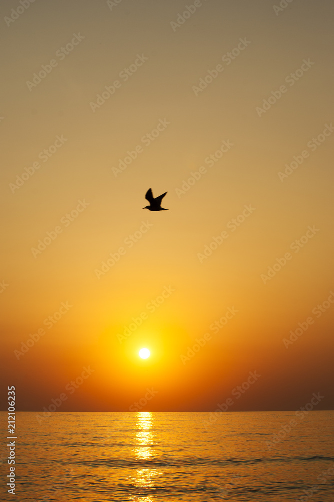 Sunset at the sea with a seagull in the sky.