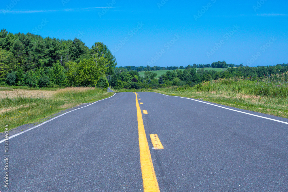 Road in countryside in summer