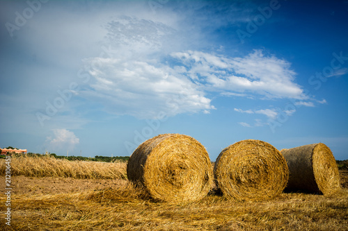 Horizontal View of Hay Bales on Partially Cloudy Blue Sky Background in summer